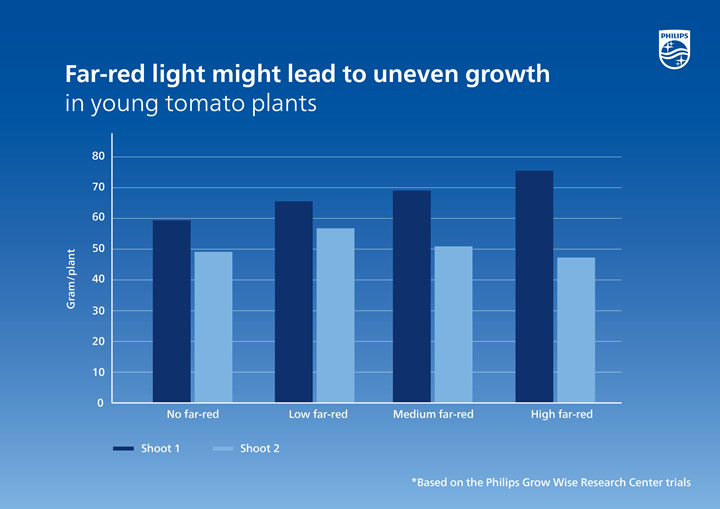 A graph of growth and growth of tomato plantsDescription automatically generated